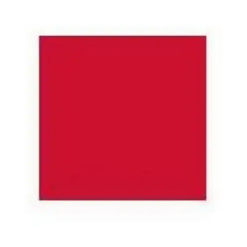 Posterboard, Red, 22 x 28-In. - pack of 25