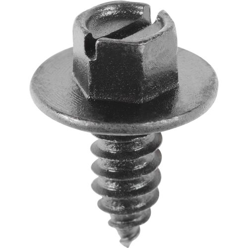 AUVECO 20446 20446 Slotted Hex Washer Head License Plate Screw, #14 Screw x 5/8 in L x 5/16 in Across Flats, Black E-Coat