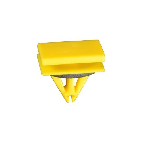 GM MOULDING CLIP