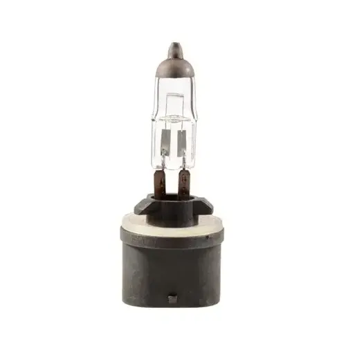 Auveco Pk # 893 Bulb 37.5 Watt, PG13 Base (1 per box)