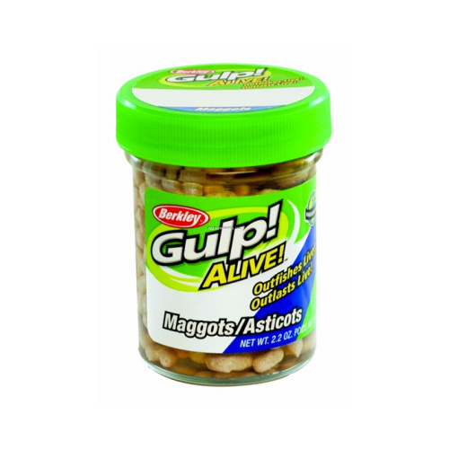 Alive Maggots Fish Bait, 2.2 oz.