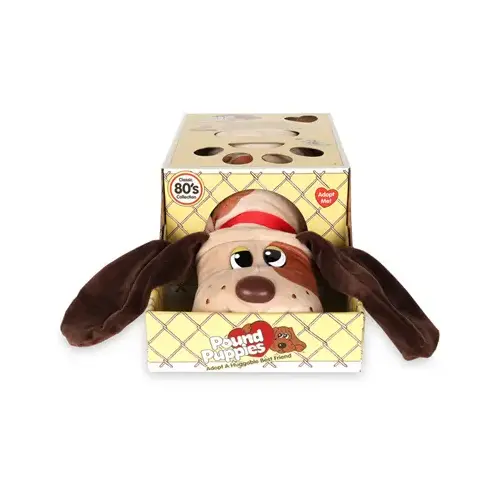 BASIC FUN INC 38065-XCP2 ASSTD Pound Puppies - pack of 2