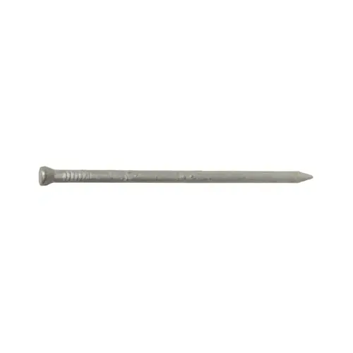 8D Galvanized Casing Nails, 2.5-In., 1-Lb.