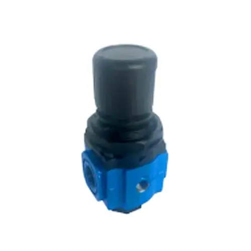 INTRADIN HK CO., LIMITED 1204S313 Airline Regulator With Gauge, 3/8-In. FNPT