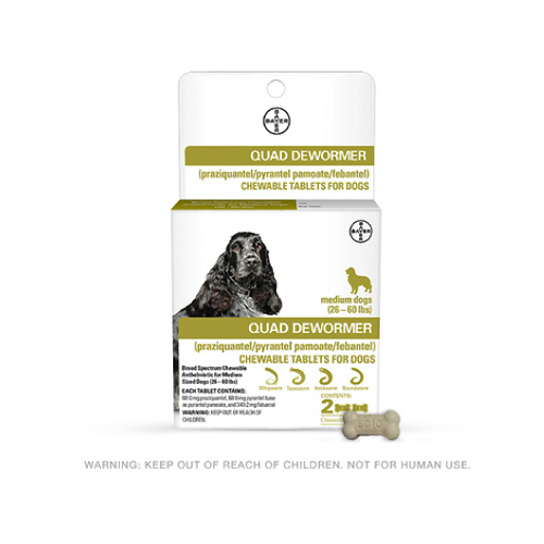 BAYER 00724089113368 Chewabale Quad Dewormer Tablets for Medium Dogs 26-60-Lbs., 2-Pk.