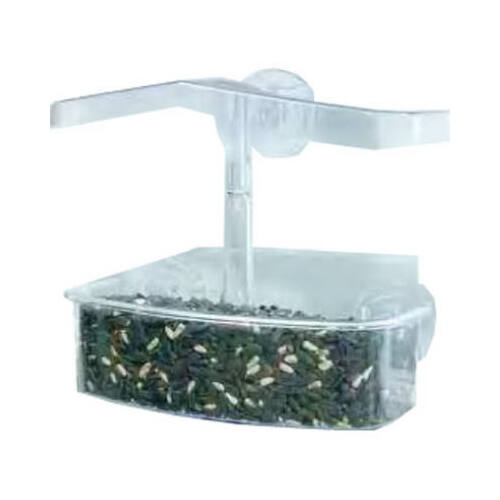 Droll yankees owf observer window bird feeder