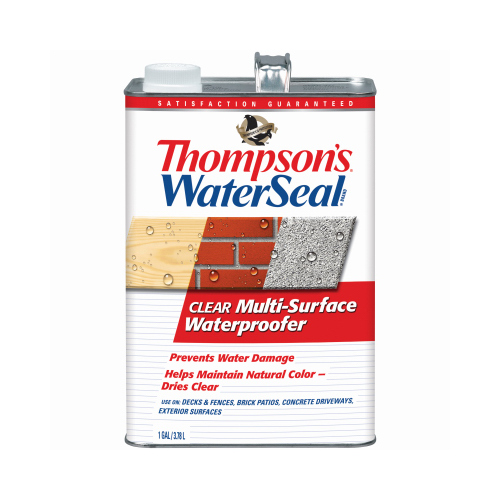 Thompson's Waterseal 24101-16 Multi-Surface Water Sealer, Clear, Gallon