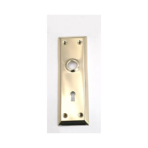 Brass-Plated Steel Mortise Trim Plate