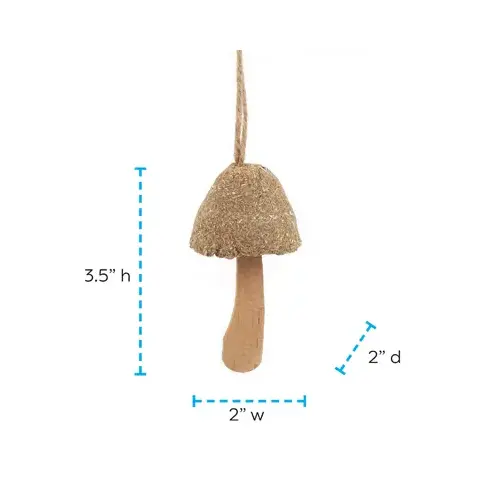 WARE MANUFACTURING INC 13092 Health-E Schroom Chew Toy for Small Pets