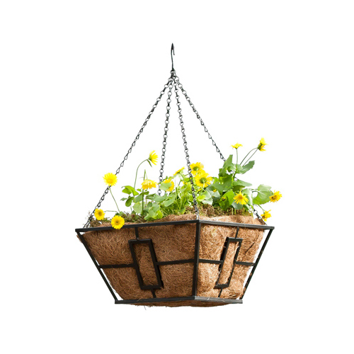 Hanging Plant Basket, Black Steel, 14-In. Square