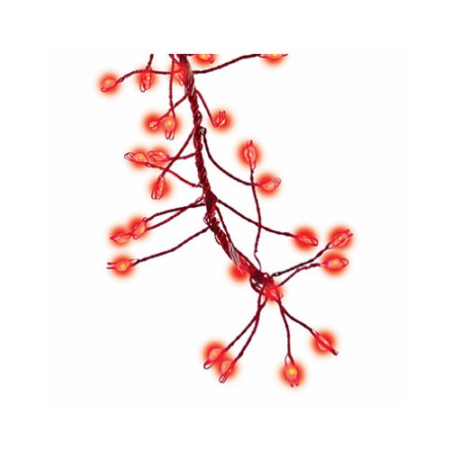 Micro Big Seed Cluster LED Light Set, Red Wire, Red Twinkle, 216-Ct.