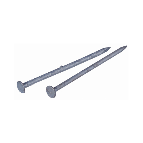 Galvanized Common Nail, 2.5-In., 8-D, 1-Lb.