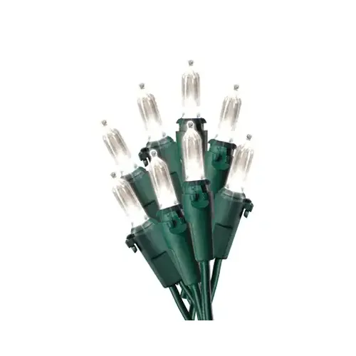 Holiday Wonderland 40840-88A Christmas LED 100-Light Set, Mini, Warm White/Green Wire