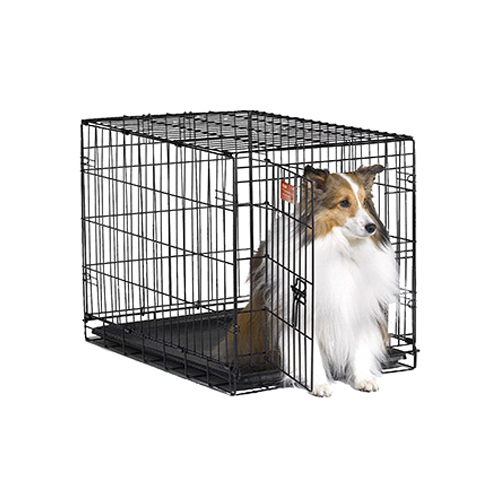 Home Training Dog Crate, 1 Door, 30-In.