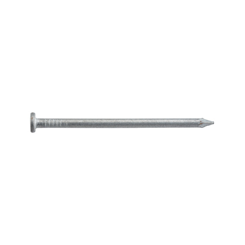 Hillman Fasteners 461289 Common Nails Hot Dipped Galvanized 2 5 In X