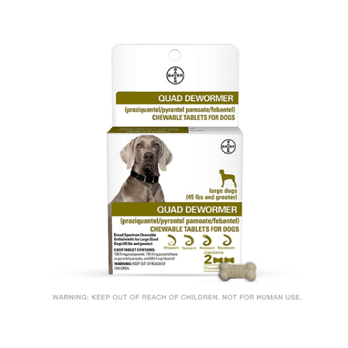 BAYER 00724089113429 Chewabale Quad Dewormer Tablets for Large Dogs 45-Lbs. and Up, 2-Pk.