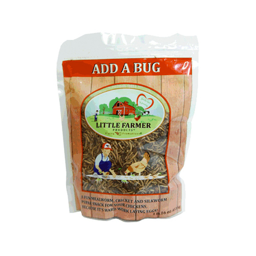 Little Farmer LFP17 Ad A Bug Chicken Treat, 1-Lb.