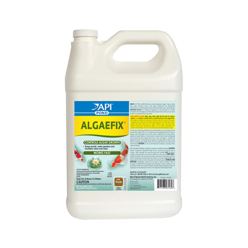 API Pond 169C Algaefix Algae Control Solution, 1-Gallon