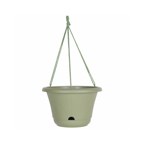 Lucca Hanging Basket, Self-Watering, Living Green, 13-In.