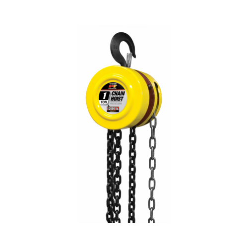 Chain Hoist, 1-Ton, 8-Ft. Lift