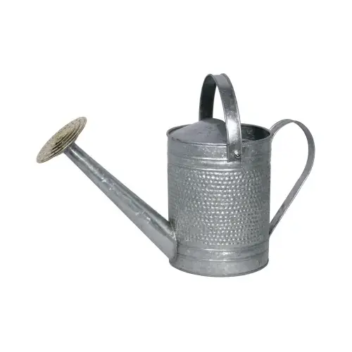 Robert Allen MPT01191 Watering Can, Galvanized, 1-Gallon