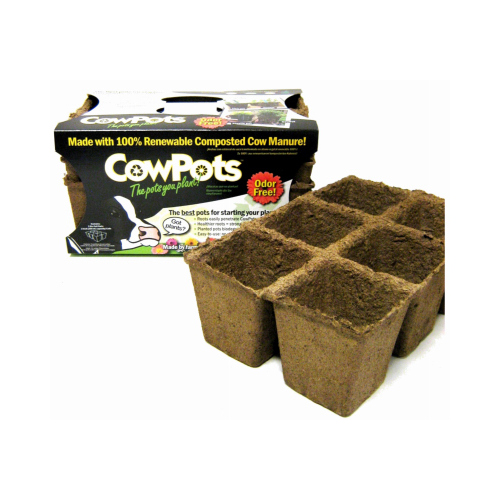 CowPots 00107 Seed Starting Tray, 3-In  pack of 3