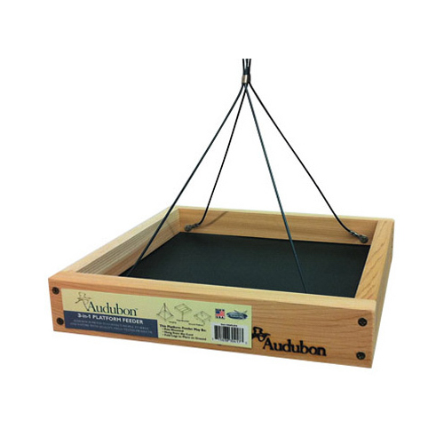 3-In-1 Platform Feeder, 3-Lb.