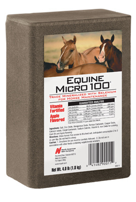 COMPASS MINERALS 772941 Equine Brick for Horses, 4-Lb.