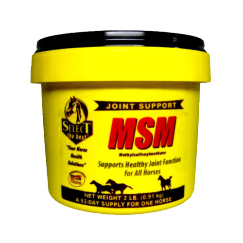 Select the Best 17498851 MSM Horse Supplement, 2-Lbs.
