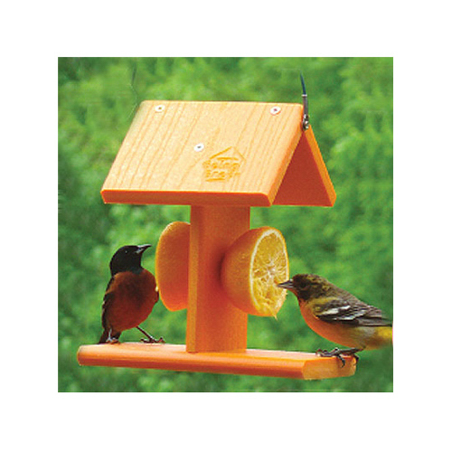 Going Green Oriole Feeder