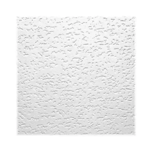 Tivoli Ceiling Tile, 12 x 12-In.