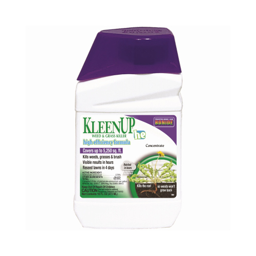 KleenUp he Weed and Grass Killer Concentrate, Liquid, Amber/Light Brown, 1 pt
