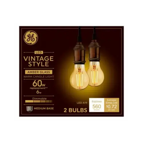 LED Vintage Light Bulbs, A19, Medium Base, 6 Watts pair