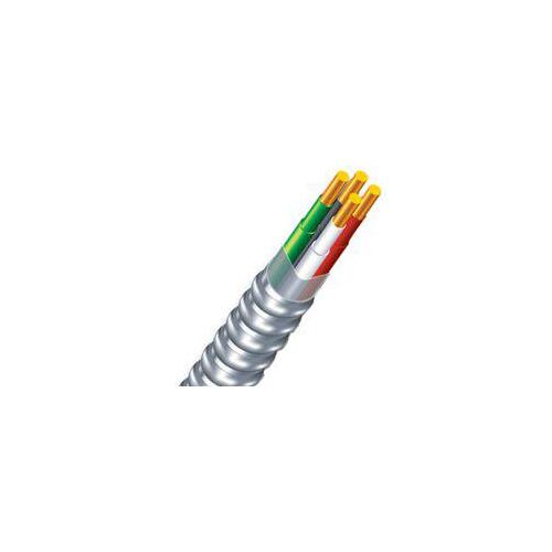 Armorlite Armored Cable, 14 AWG Cable, 2 -Conductor, 30 m L, Copper Conductor