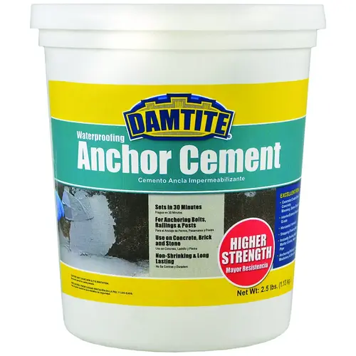 Anchoring Cement, Powder, Gray, 48 hr Curing, 2.5 lb Pail