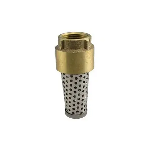 Foot Valve, 1-1/2 in Connection, 200 psi Pressure, Brass Body