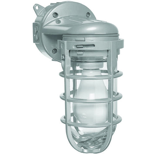 Wall Mount Light, 120 VAC