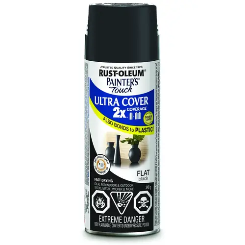 PAINTER'S Touch Spray Paint, Flat, Black, 340 g, Aerosol Can