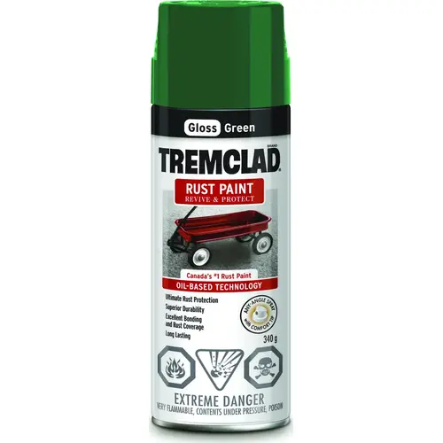 Rust-Oleum 27029B522 TREMCLAD Rust Spray Paint, Gloss, Green, 340 g ...