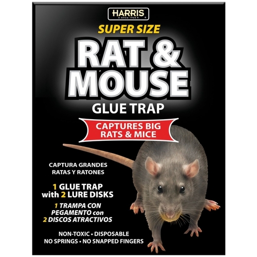 Harris BLKRAT-1 Rat and Mouse Glue Trap