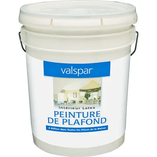 Ceiling Paint, Flat, White, 5 gal Pail