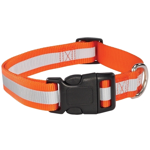 Reflective Dog Collar, Buckle Link, 14 to 20 in L Collar, 5/8 in W Collar, Nylon, Orange