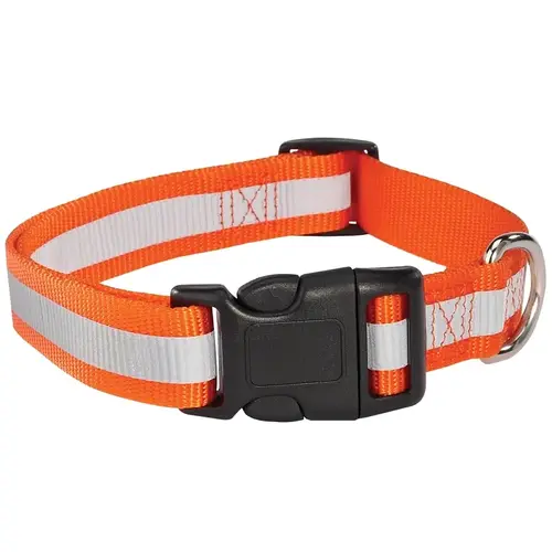 Reflective Dog Collar, Buckle Link, 18 to 26 in L Collar, 1 in W Collar, Nylon, Orange