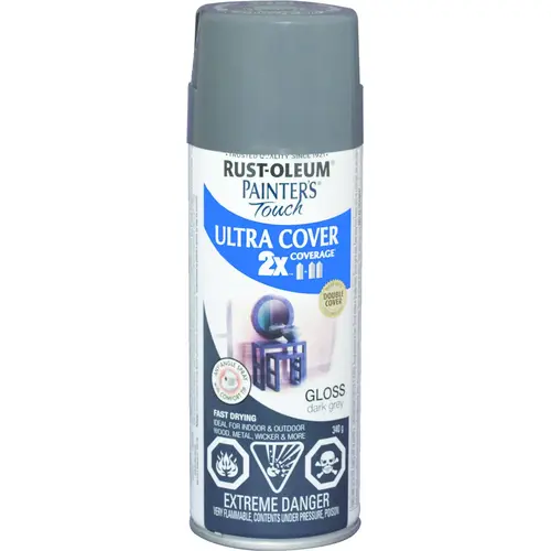 PAINTER'S Touch Spray Paint, Gloss, Dark Gray, 340 g, Aerosol Can