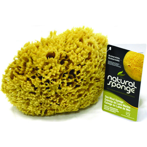 Armaly ProPlus 68000 -4 Wool Sponge, 6 in W