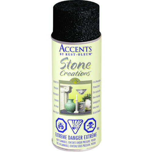 AMERICAN ACCENTS Spray Paint, Black Granite, 340 g, Aerosol Can