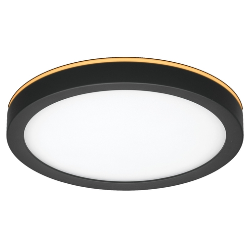 LowPro Series Ceiling Light with Nightlight, 120 V, 12 W, Integrated LED Lamp, 800 Lumens, Black Fixture