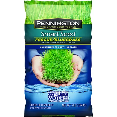 PENNINGTON SEED VIRGINIA DIV 100543705 SEED KENTUCKY BLUEGRS BLND 3LB