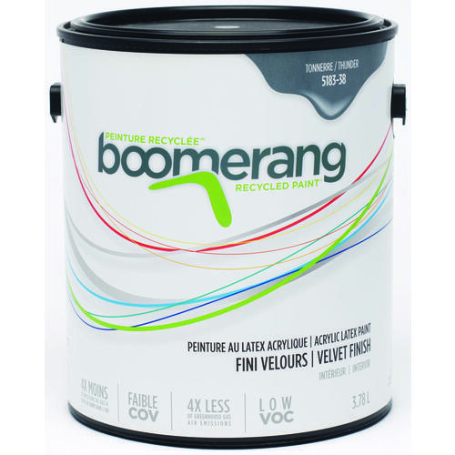 boomerang 5183-38L19 Interior Paint, Thunder, 3.78 L