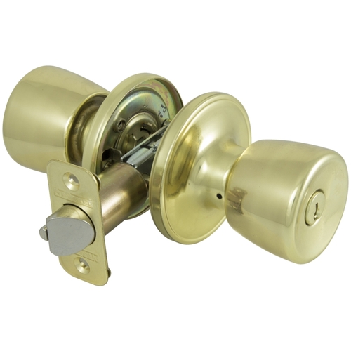 KNOB PRIVACY TULIP PB BOX PACK Polished Brass